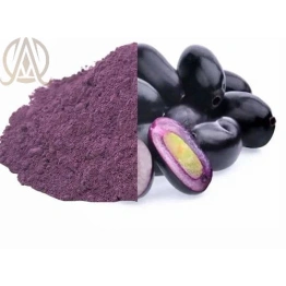 Spray Dried Jamun Powder