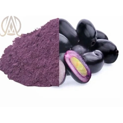 Spray Dried Jamun Powder