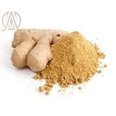 Spray Dried Ginger Powder