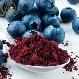 Spray Dried Blue Berry Powder