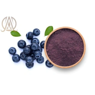 Spray Dried Black Berry Powder