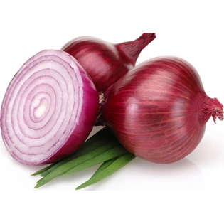 FRESH ONION