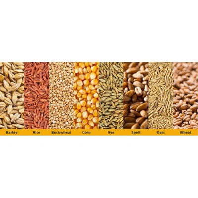 Indian Cereals - grains