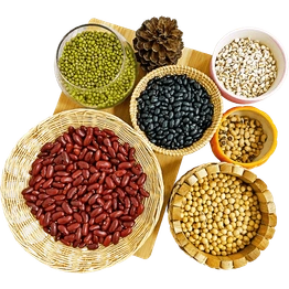 Indian Pulses