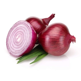 Onion