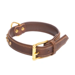 Dog Belt