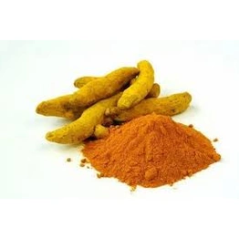 Curcuma Longa Curcumin Extract 95%