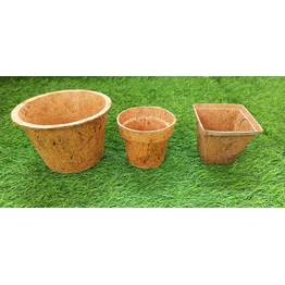 Coir pots