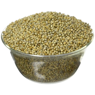 PEARL MILLETS (BAJRA)