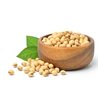 SOYABEAN SEEDS