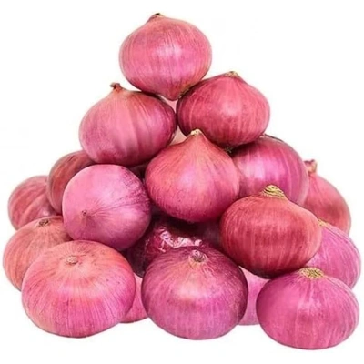 Onion