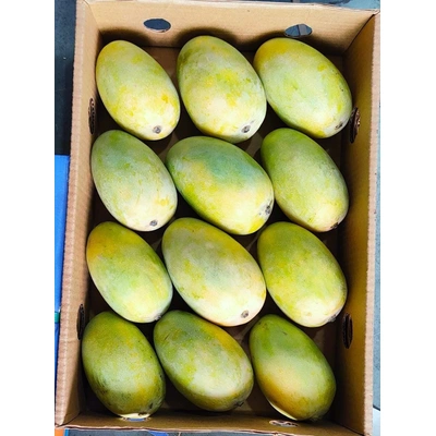 Bharat Mango Fresh Mango