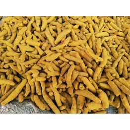 Turmeric fingers