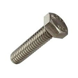 Stainless Steel Bolt