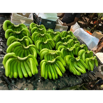 Bananas