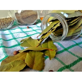 Bay Leaf