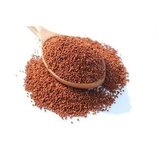 Finger Millet