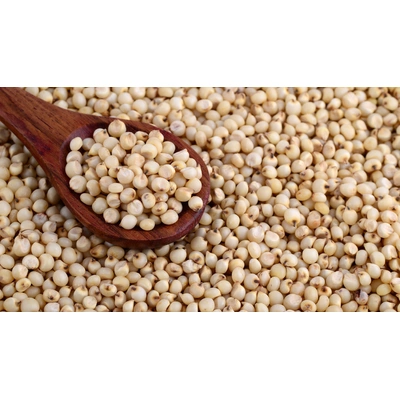 Sorghum Millet