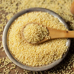 Foxtail Millet