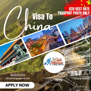 China Visa only on Passport and photo