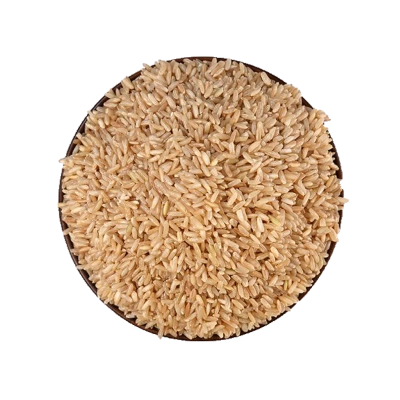 Sage Sonamasuri Brown Rice