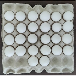 Paper Pulp Egg Tray