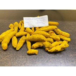 Turmeric Fingures