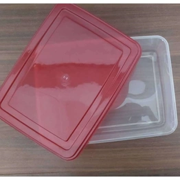 Plastic Container