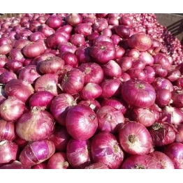 Red Onion Nashik