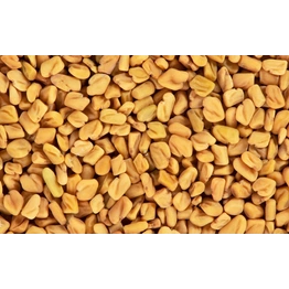 FENUGREEK SEEDS