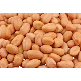 GROUNDNUT