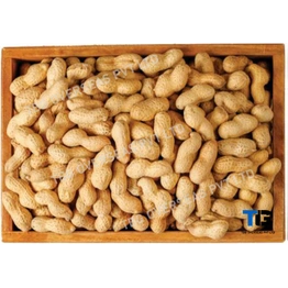 Premium Quality Peanuts: Bulk Supply, Fresh & Nutritious, Competitive Prices; Peanuts with Shell; Shelled Ground Nuts;