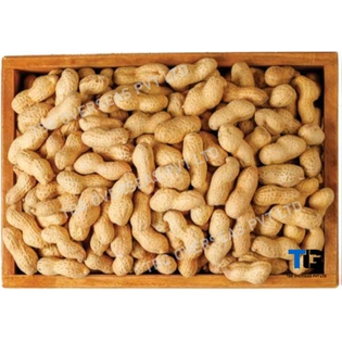 Premium Quality Peanuts: Bulk Supply, Fresh & Nutritious, Competitive Prices; Peanuts with Shell; Shelled Ground Nuts;