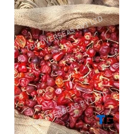 Whole S 9 Mundu Chillies; Superior Quality, Bulk Supply, Best Prices; With Stem; Without Stem;