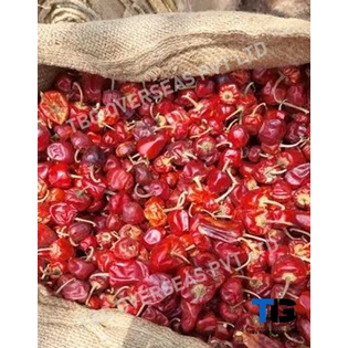 Whole S 9 Mundu Chillies; Superior Quality, Bulk Supply, Best Prices; With Stem; Without Stem;