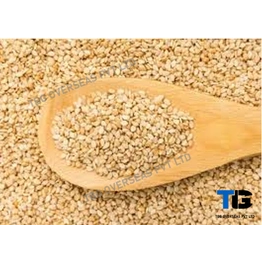 Whitish Sesame Seeds; Til;"Sesamum indicum"; Machine Clean; Best Quality; Competitive price; Yellow; Golden; Roasted; Brown; Hulled;