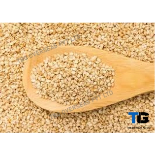 Whitish Sesame Seeds; Til;