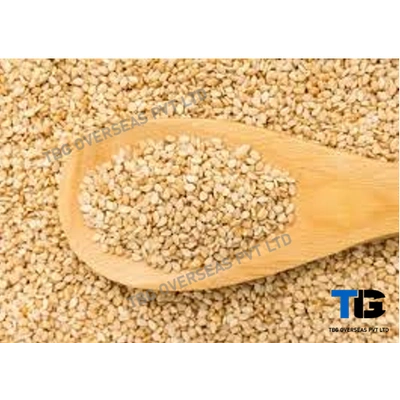 Whitish Sesame Seeds; Til;"Sesamum indicum"; Machine Clean; Best Quality; Competitive price; Yellow; Golden; Roasted; Brown; Hulled;