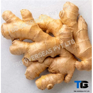 Fresh Ginger (Adrak): Whole & Powdered | Spicy, Aromatic, and Premium Quality