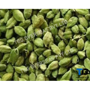 Premium Bulk Cardamom Pods – Fresh, Organic, High-Quality Spices | Top Grade Cardamom Seeds| Buy in Wholesale at Competitive Prices; Elaichi;