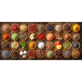 SPICES OF INDIA