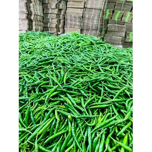 Winstar Green Chilly – Fresh, Spicy, and Flavorful Chilies Summary: