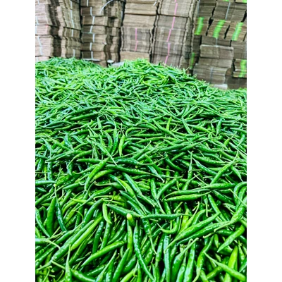 Winstar Green Chilly – Fresh, Spicy, and Flavorful Chilies Summary: