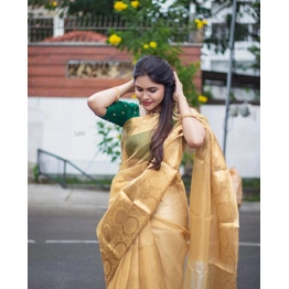 Banarasi Tissue Silk Saree