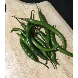 indian green chilli