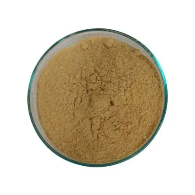 Amchur Powder ( Gold )