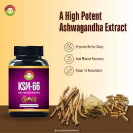 CORDY HERB Ashwagandha KSM-66 (500 mg) | Extra Strength | Support strength & energy | Helps in Stress Management | For Men & Women | Withania Somnifera Extract - 30 Vegetarian Capsules