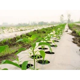 Agriculture Mulch Film 1m x 400m x 30 mic