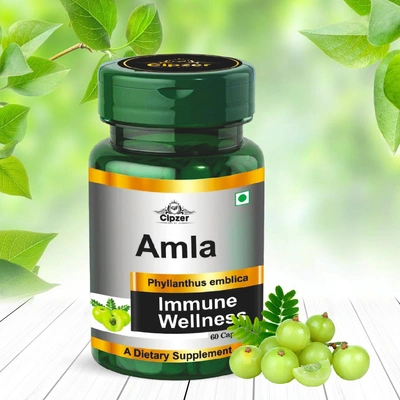 Amla Capsule 60's