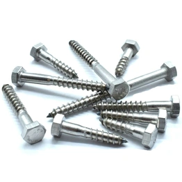 Coach Screws